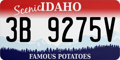 ID license plate 3B9275V
