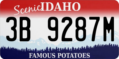 ID license plate 3B9287M
