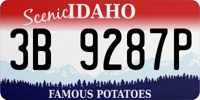 ID license plate 3B9287P