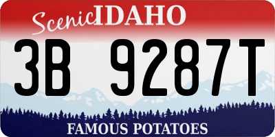 ID license plate 3B9287T