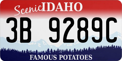 ID license plate 3B9289C