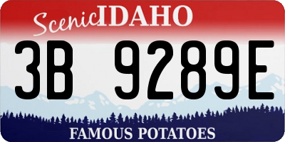 ID license plate 3B9289E