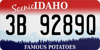 ID license plate 3B9289Q