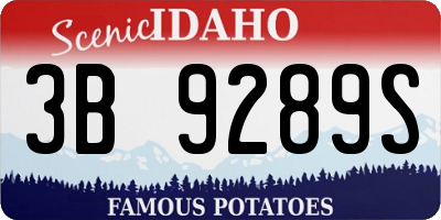 ID license plate 3B9289S
