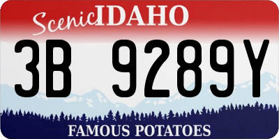 ID license plate 3B9289Y