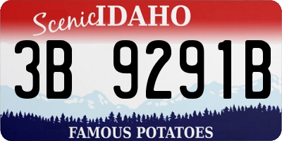 ID license plate 3B9291B