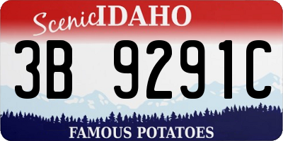 ID license plate 3B9291C