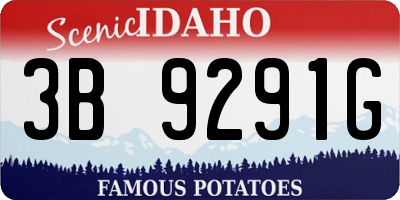 ID license plate 3B9291G