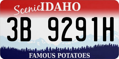 ID license plate 3B9291H