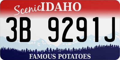 ID license plate 3B9291J