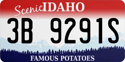 ID license plate 3B9291S