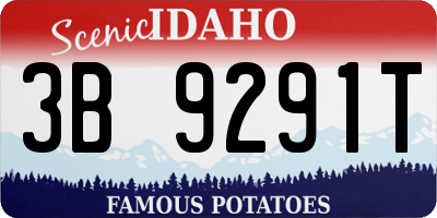 ID license plate 3B9291T