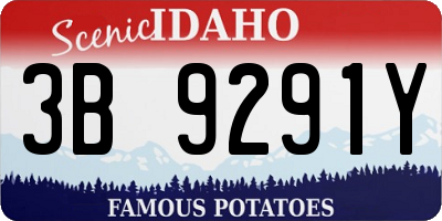 ID license plate 3B9291Y