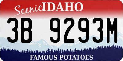 ID license plate 3B9293M