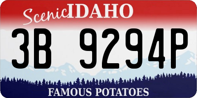 ID license plate 3B9294P