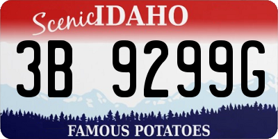 ID license plate 3B9299G