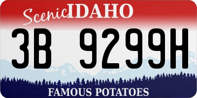 ID license plate 3B9299H