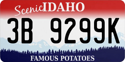 ID license plate 3B9299K