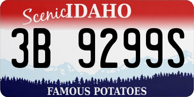 ID license plate 3B9299S
