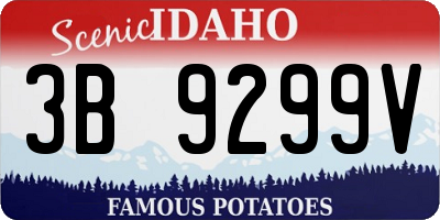 ID license plate 3B9299V