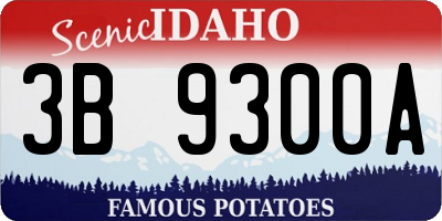 ID license plate 3B9300A