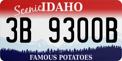 ID license plate 3B9300B