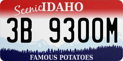 ID license plate 3B9300M