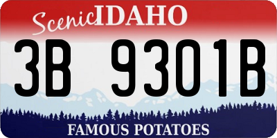 ID license plate 3B9301B