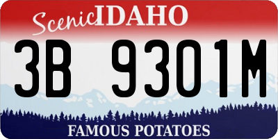 ID license plate 3B9301M