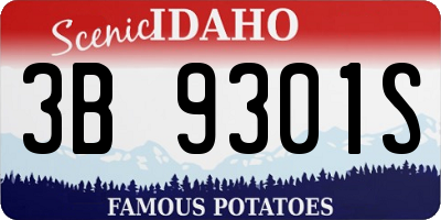 ID license plate 3B9301S