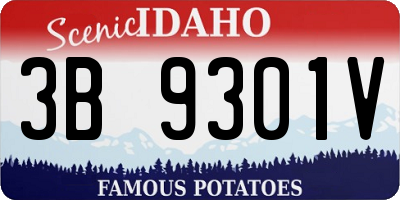 ID license plate 3B9301V