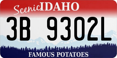 ID license plate 3B9302L