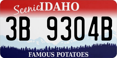 ID license plate 3B9304B