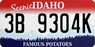 ID license plate 3B9304K