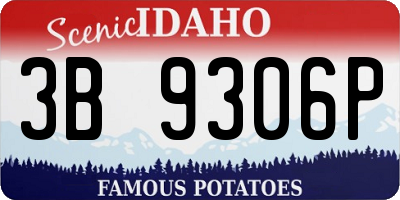 ID license plate 3B9306P