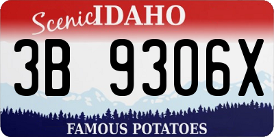 ID license plate 3B9306X
