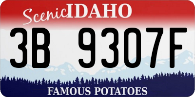 ID license plate 3B9307F