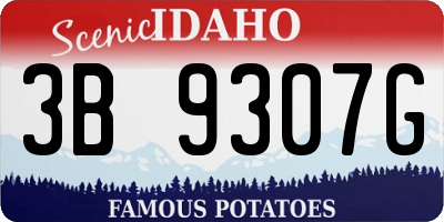 ID license plate 3B9307G