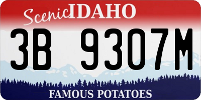 ID license plate 3B9307M