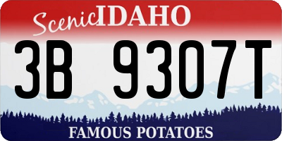 ID license plate 3B9307T