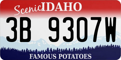 ID license plate 3B9307W