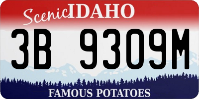 ID license plate 3B9309M