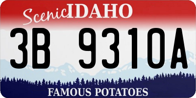 ID license plate 3B9310A