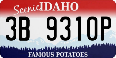 ID license plate 3B9310P