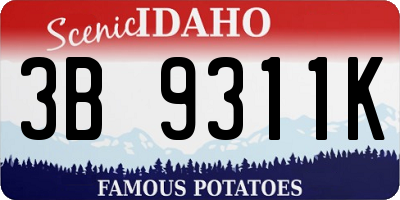 ID license plate 3B9311K
