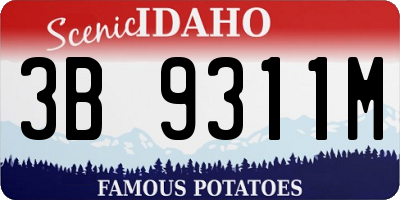 ID license plate 3B9311M