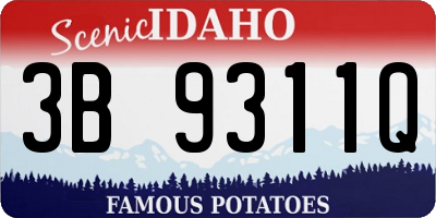 ID license plate 3B9311Q