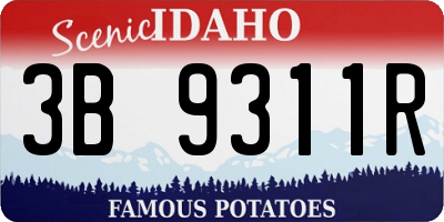 ID license plate 3B9311R