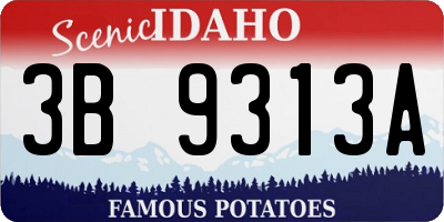 ID license plate 3B9313A