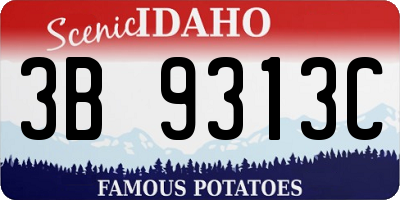 ID license plate 3B9313C